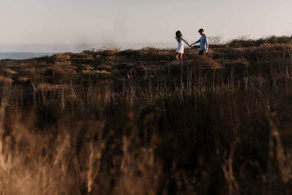 santa-cruz-engagement-photos-cover