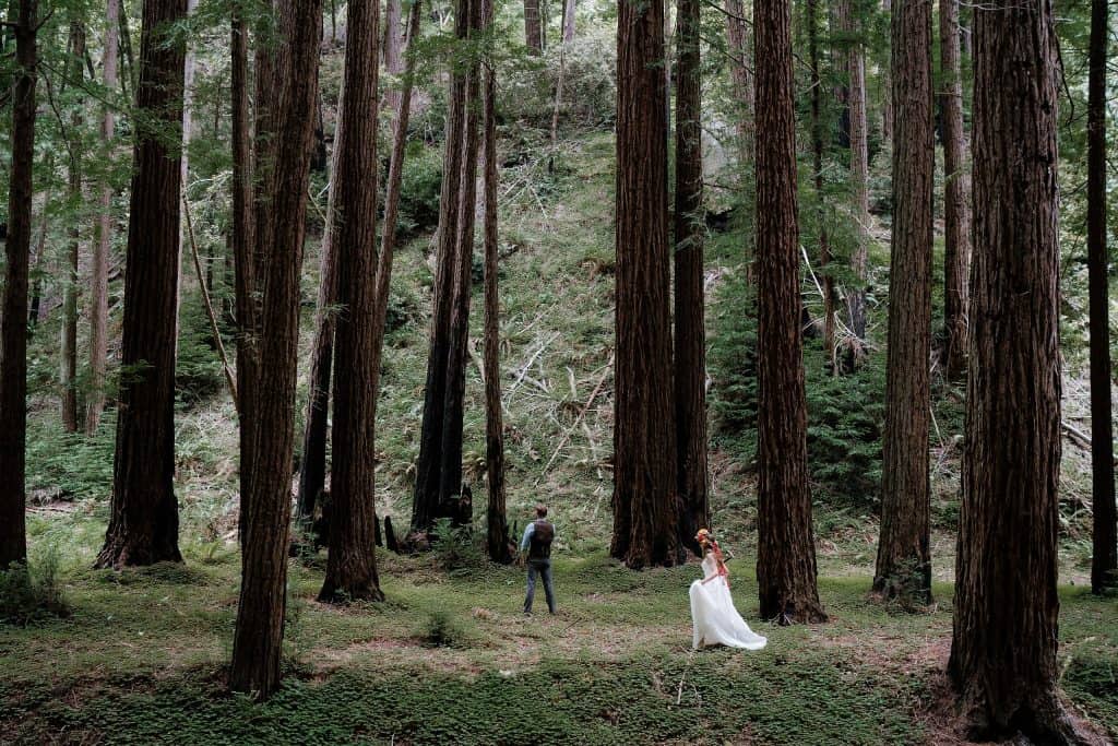 Santa Cruz Redwoods Wedding