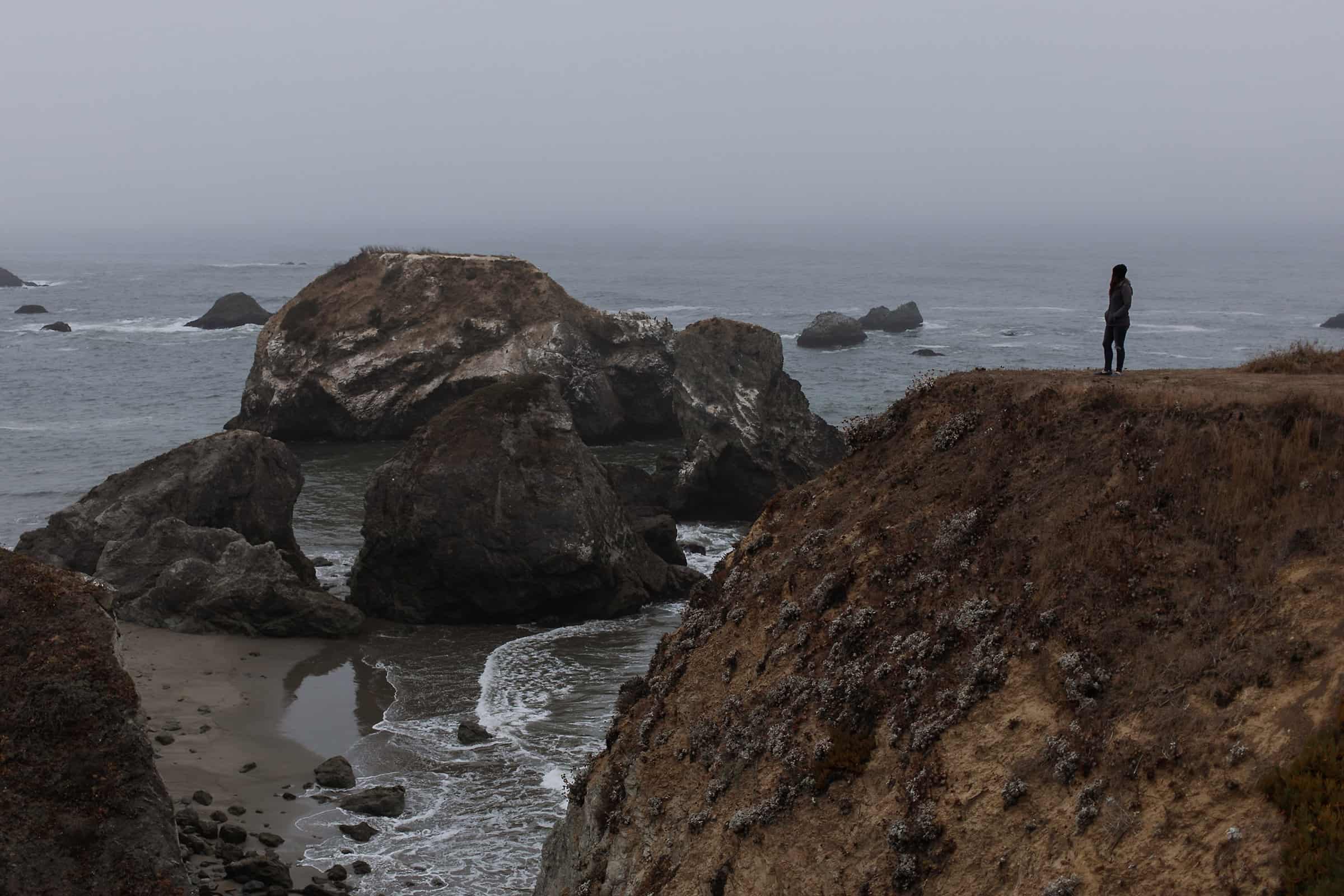 Bodega Bay Wedding Photographer-1