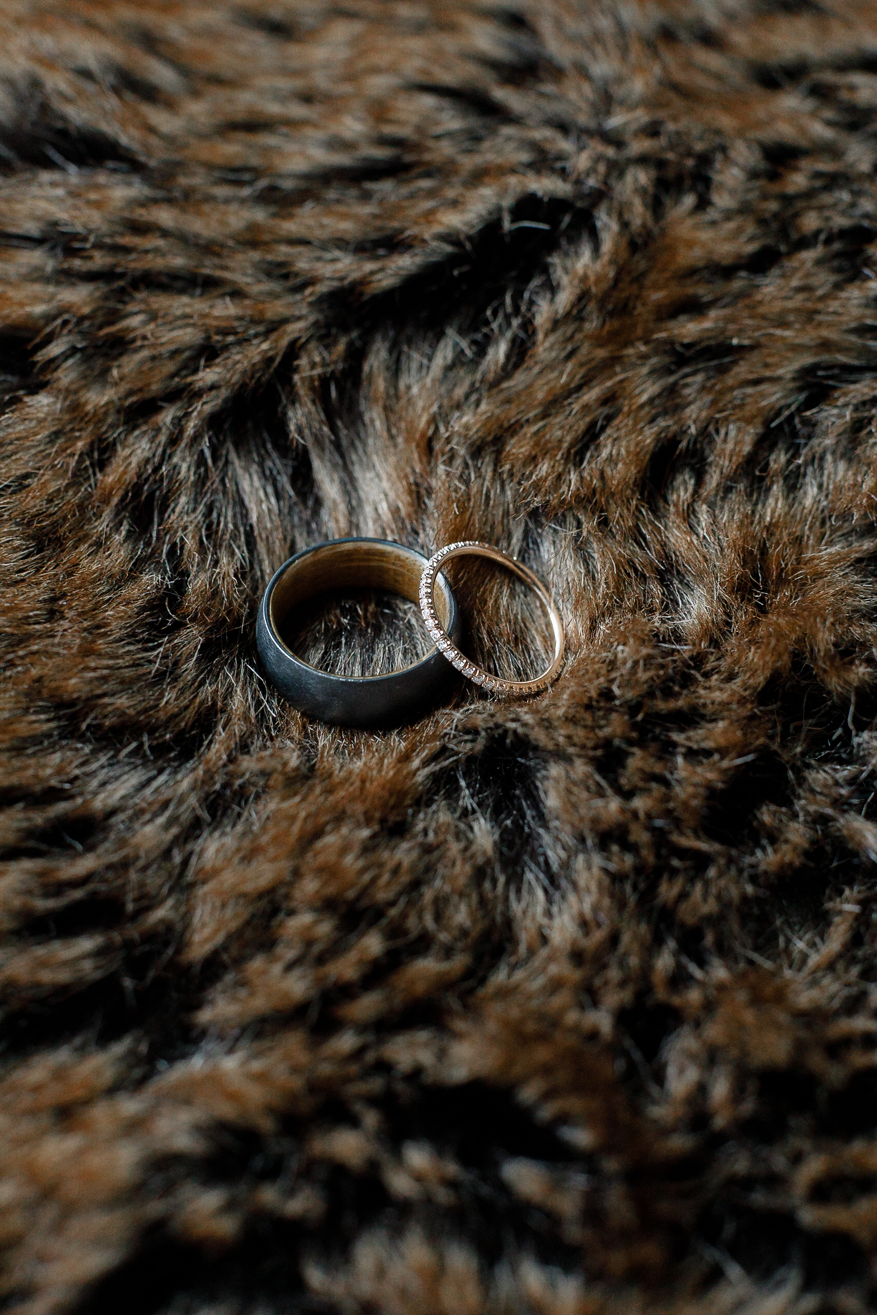 Two rings—one black, one silver with small stones—rest on a textured brown and black fur-like surface.