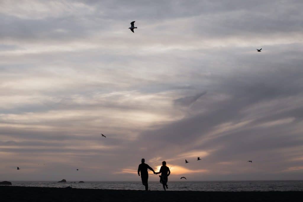 Goat Rock Beach Jenner Engagement session
