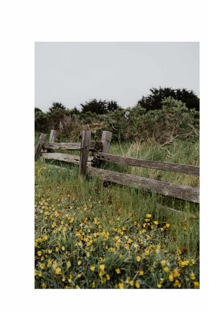 A memorable Cuffey's Cove wedding | Elk California
