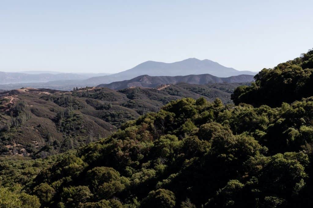 Classy Campovida Wedding in Hopland California
