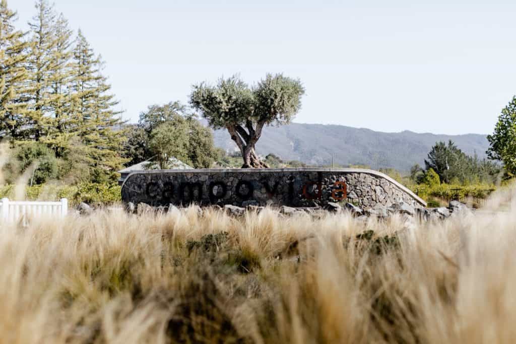Classy Campovida Wedding in Hopland California