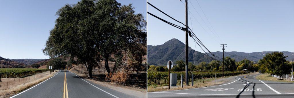 Classy Campovida Wedding in Hopland California