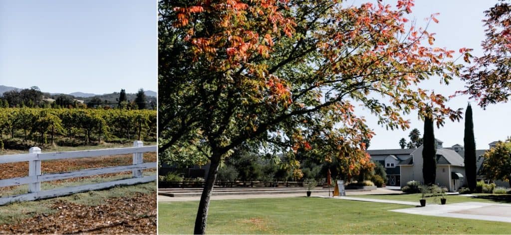 Classy Campovida Wedding in Hopland California