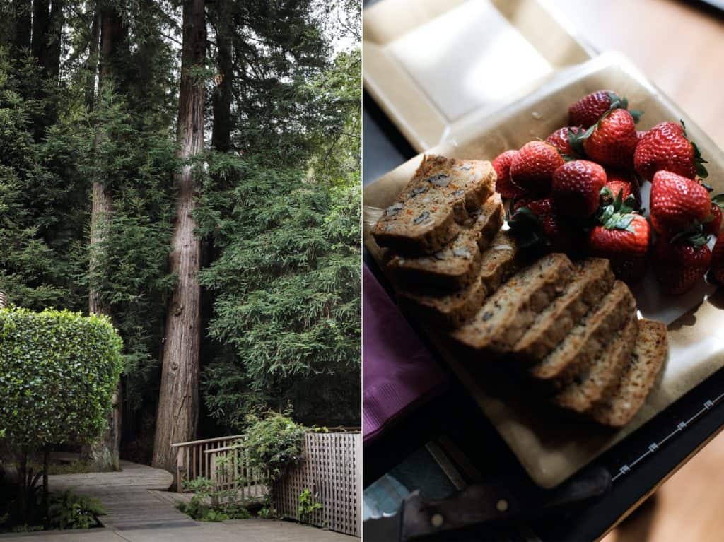 Intimate Outdoor Art Club Wedding Mill Valley