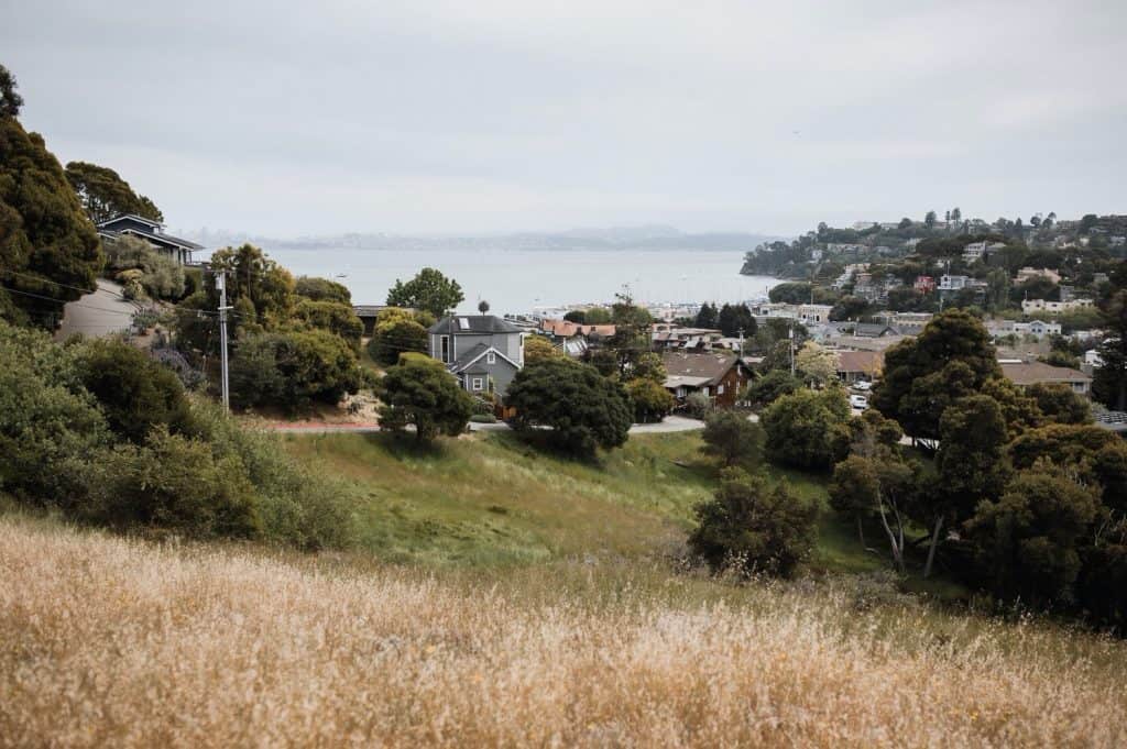 Intimate Old St. Hilary’s Chapel Wedding in Mill Valley