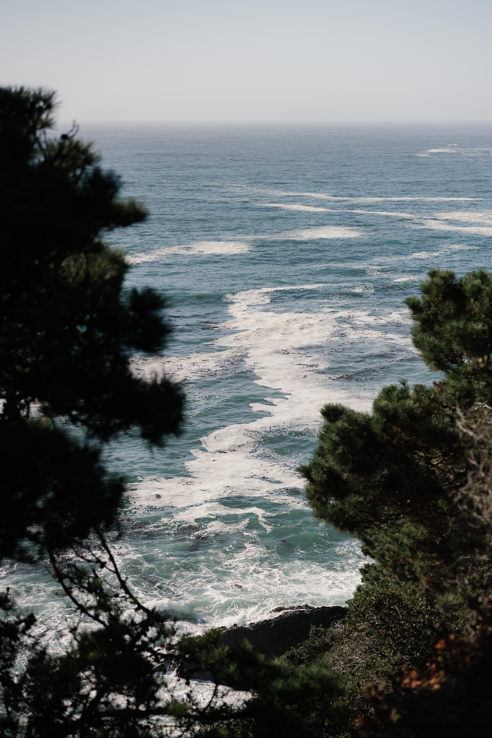 Stunning Coastal Wedding Photography: Serene Ocean Waves Framed by Evergreen Trees in Mendocino.