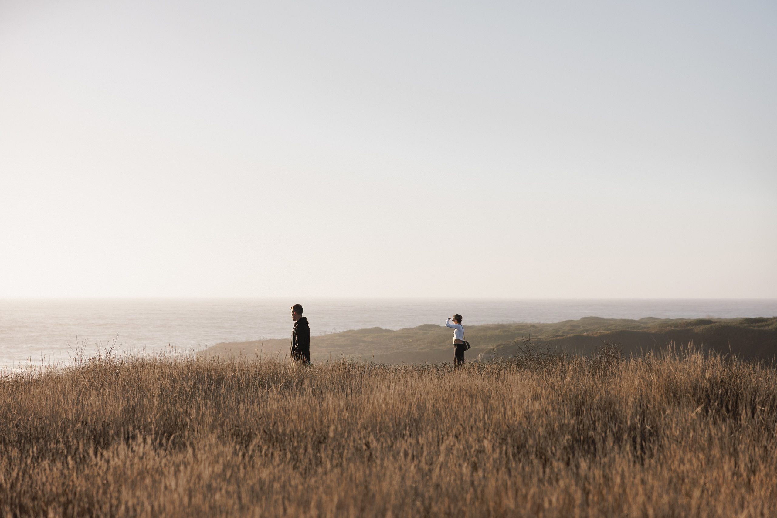 High-End Wedding Photography: Couple in Scenic Mendocino Field at Sunset.