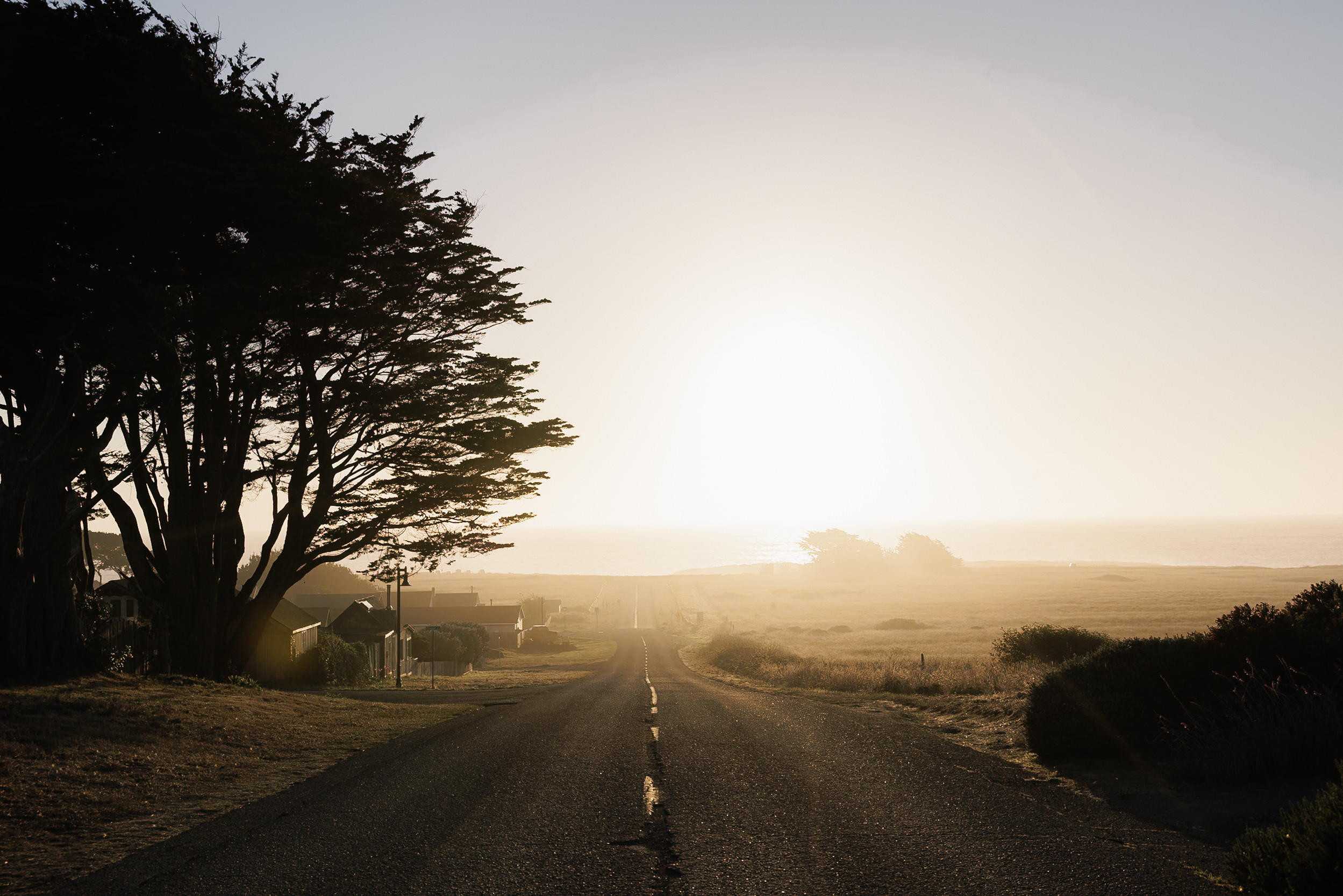 Mendocino Wedding: Sunlit road and fields, perfect for idyllic photography.