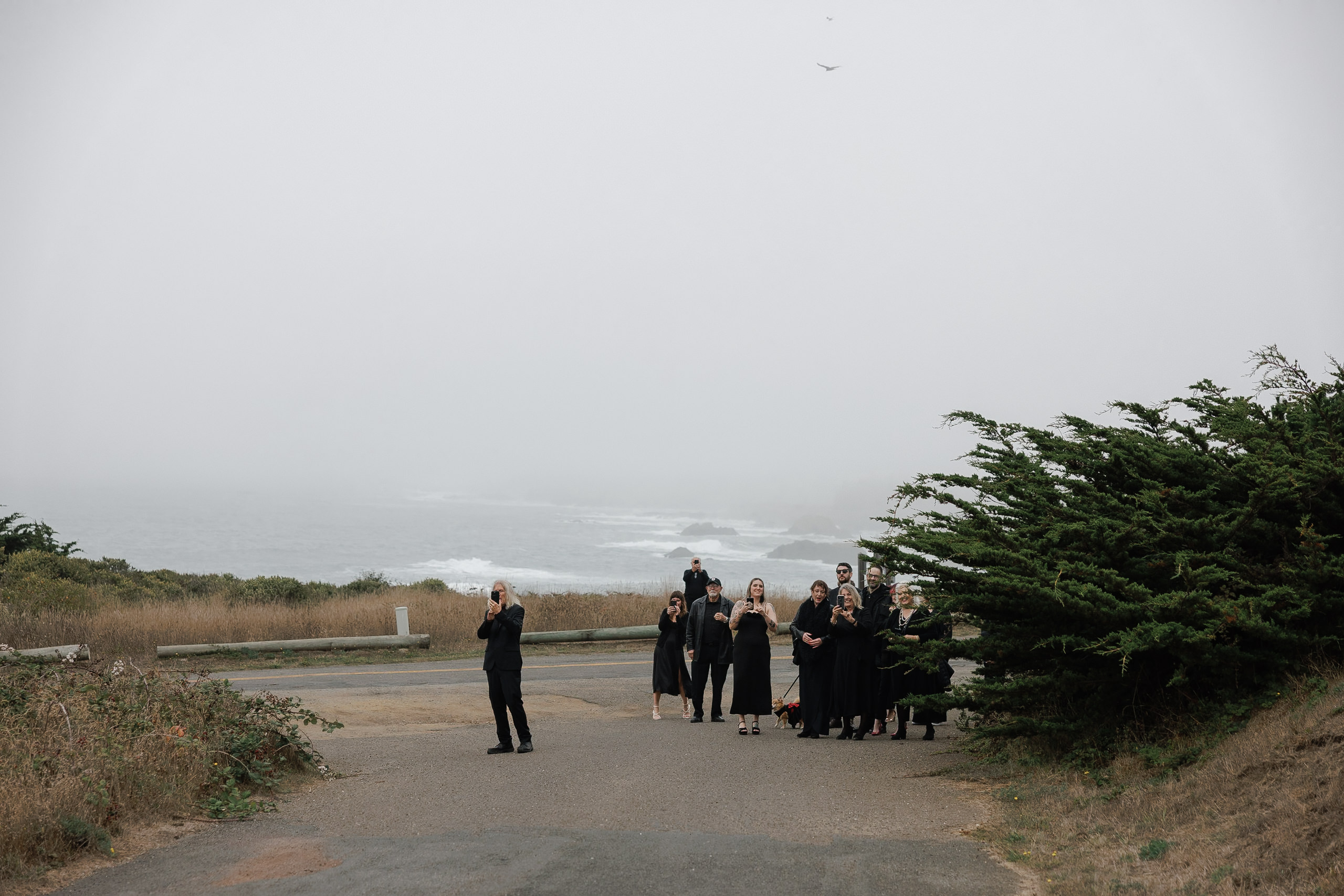Elegant group portrait on misty Mendocino coastline; ocean backdrop, lush greenery.