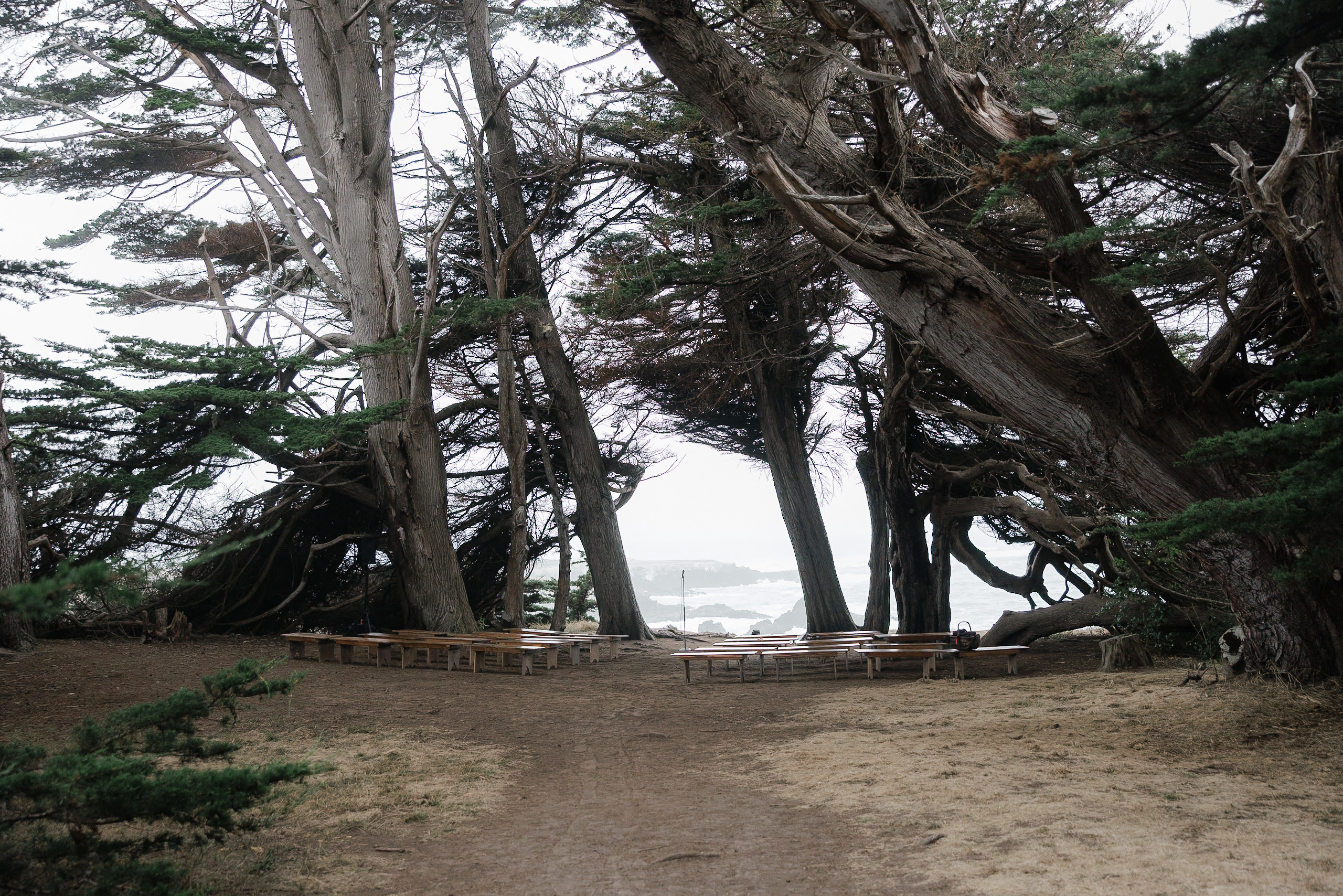 Mendocino Wedding Photographer: Serene Coastal Pathway & Woodland Ceremony Setting.
