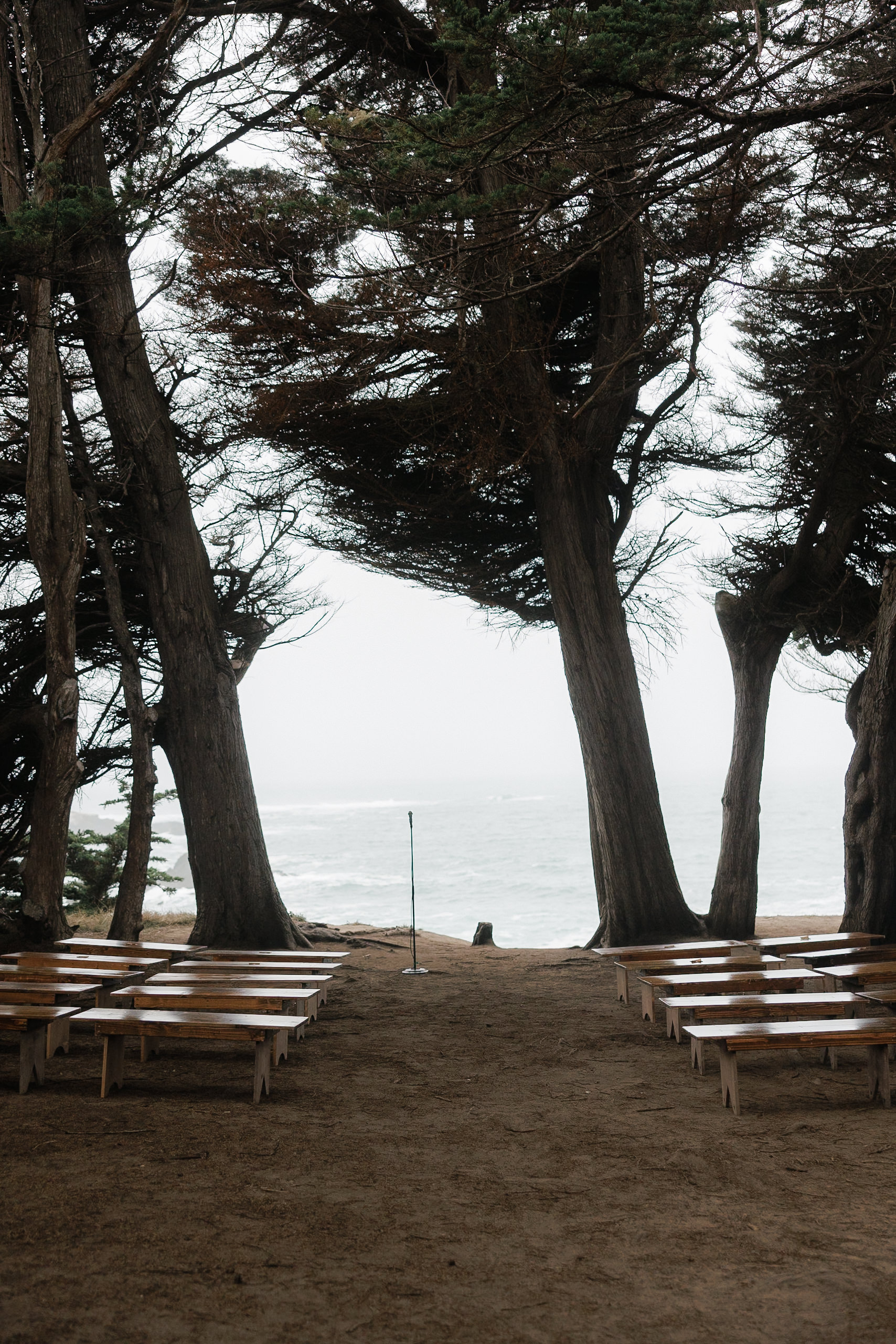 Capture your Mendocino outdoor wedding with ocean views, sandy paths, and majestic tall trees.