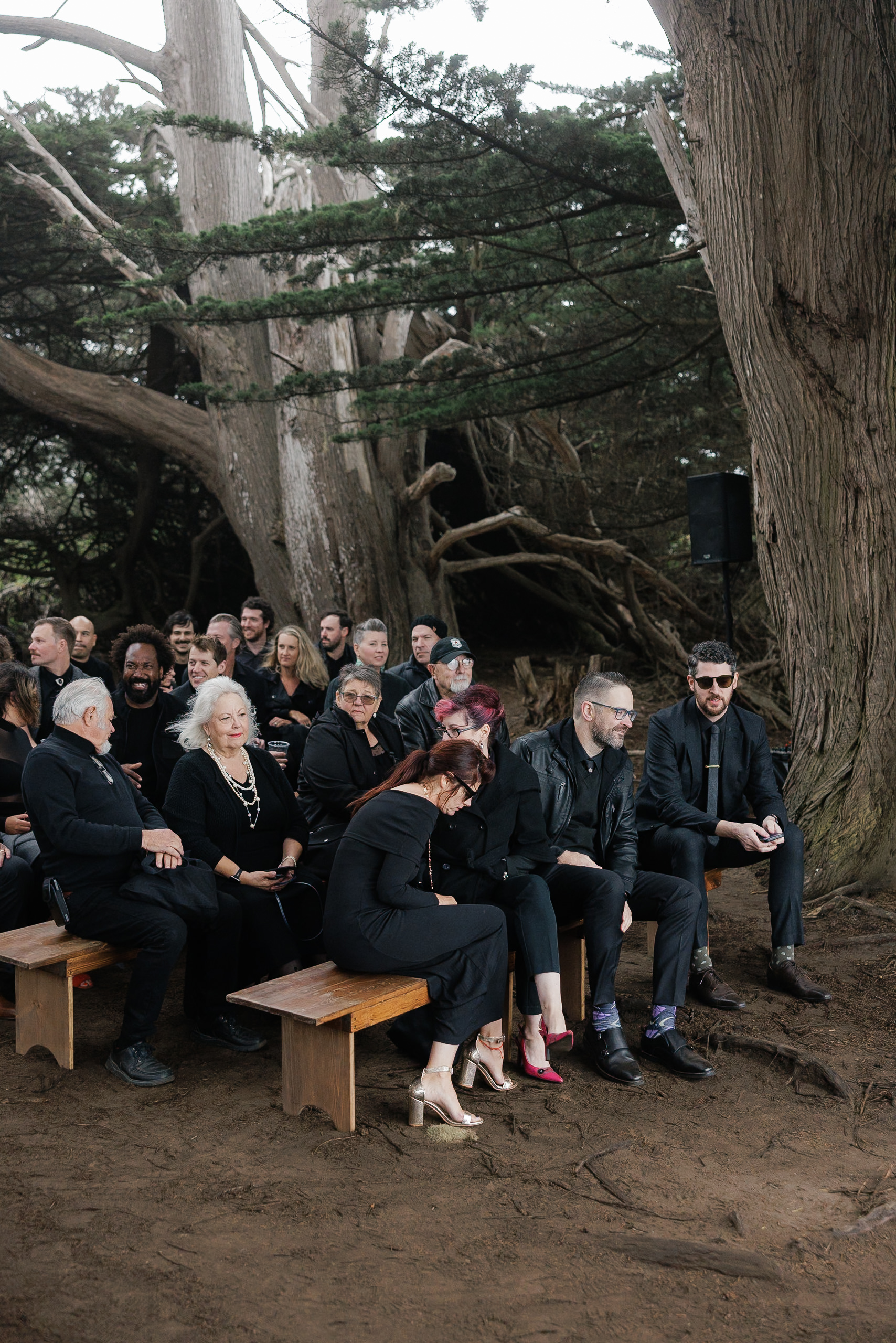 High-End Wedding: Elegant Guests in Black Amid Mendocinos Towering Trees, Serene Outdoor Setting.