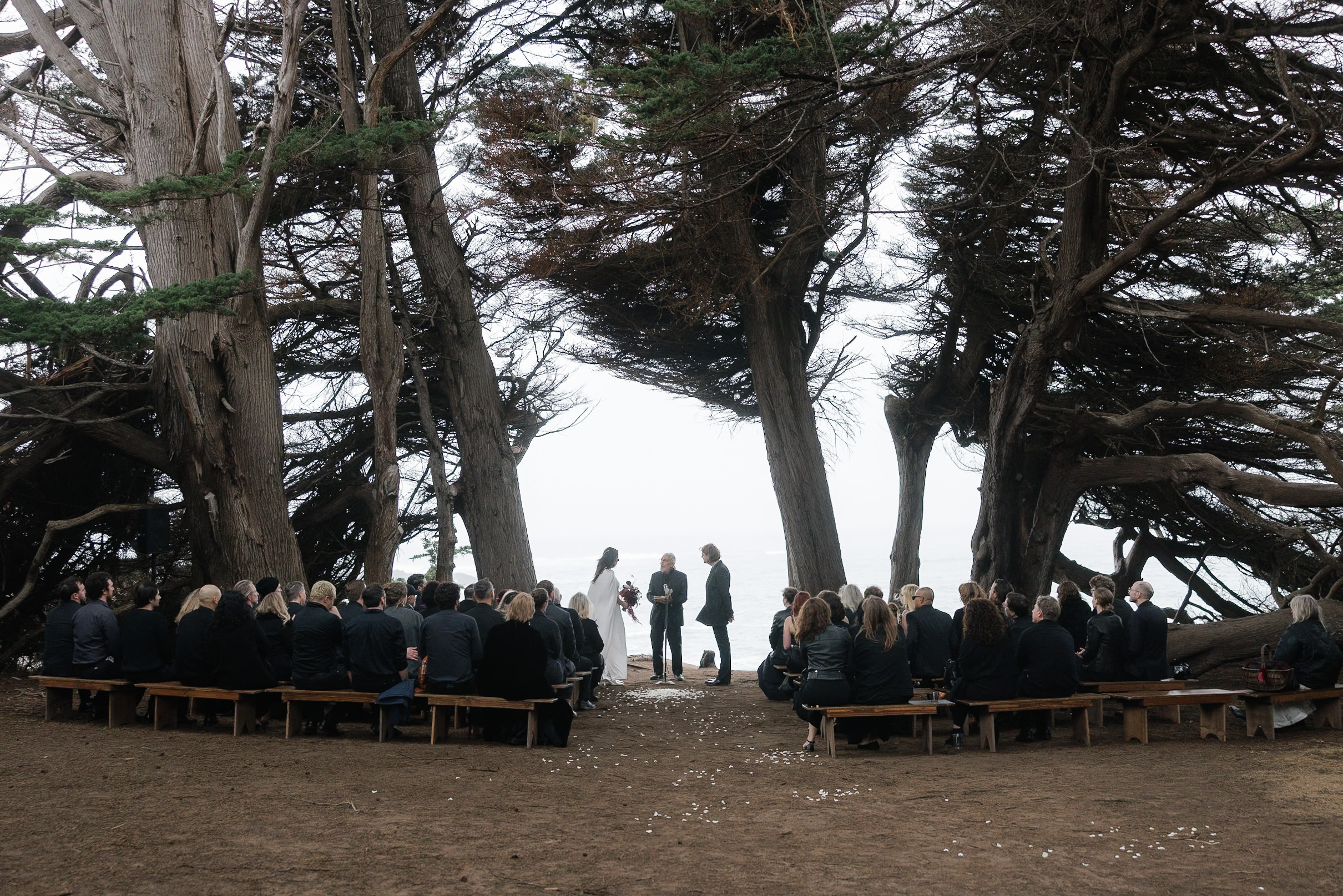 Elegant outdoor wedding photography in Mendocino. Bride & groom beneath lush trees, ocean view backdrop.
