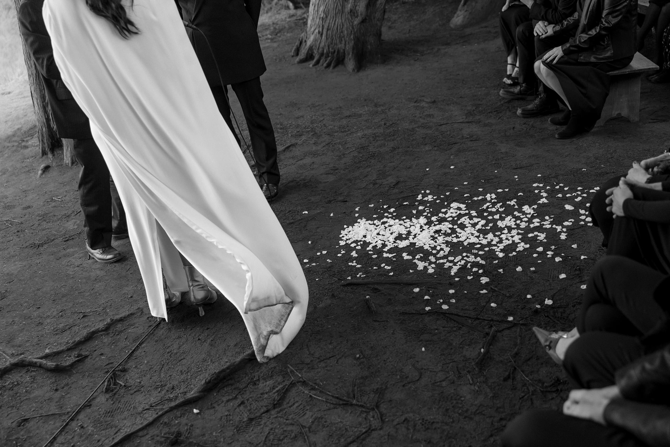 Elegant Black & White Wedding Photography in Scenic Mendocino Outdoor Ceremony.