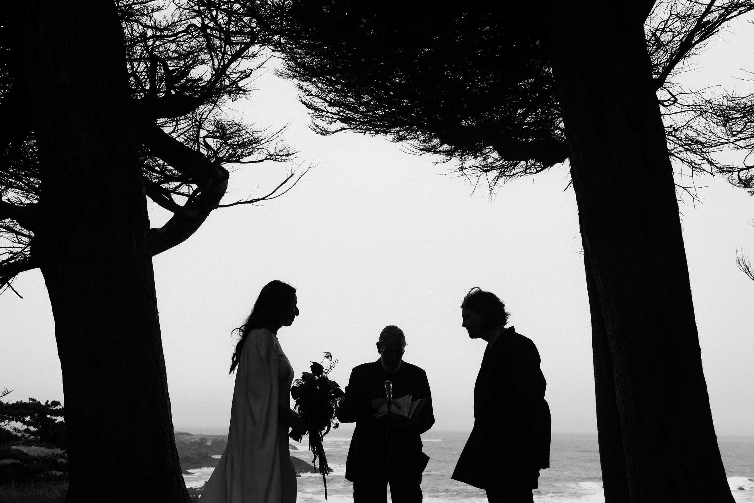 Silhouette of a couple wed under Mendocinos towering trees with ocean view and officiant present.