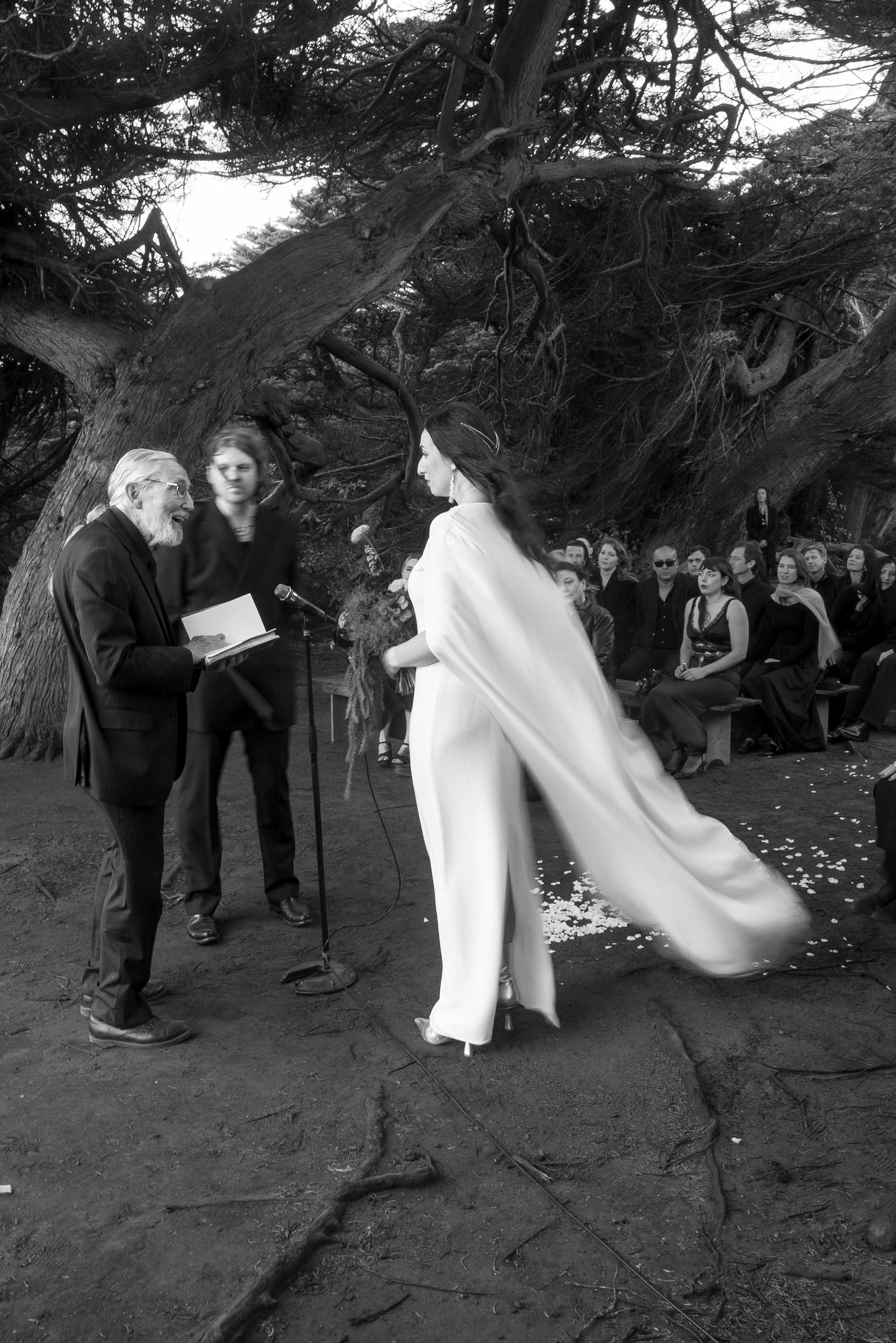 Black-and-White Wedding Ceremony in Mendocino: Bride Under Rustic Trees With Officiant and Guests.