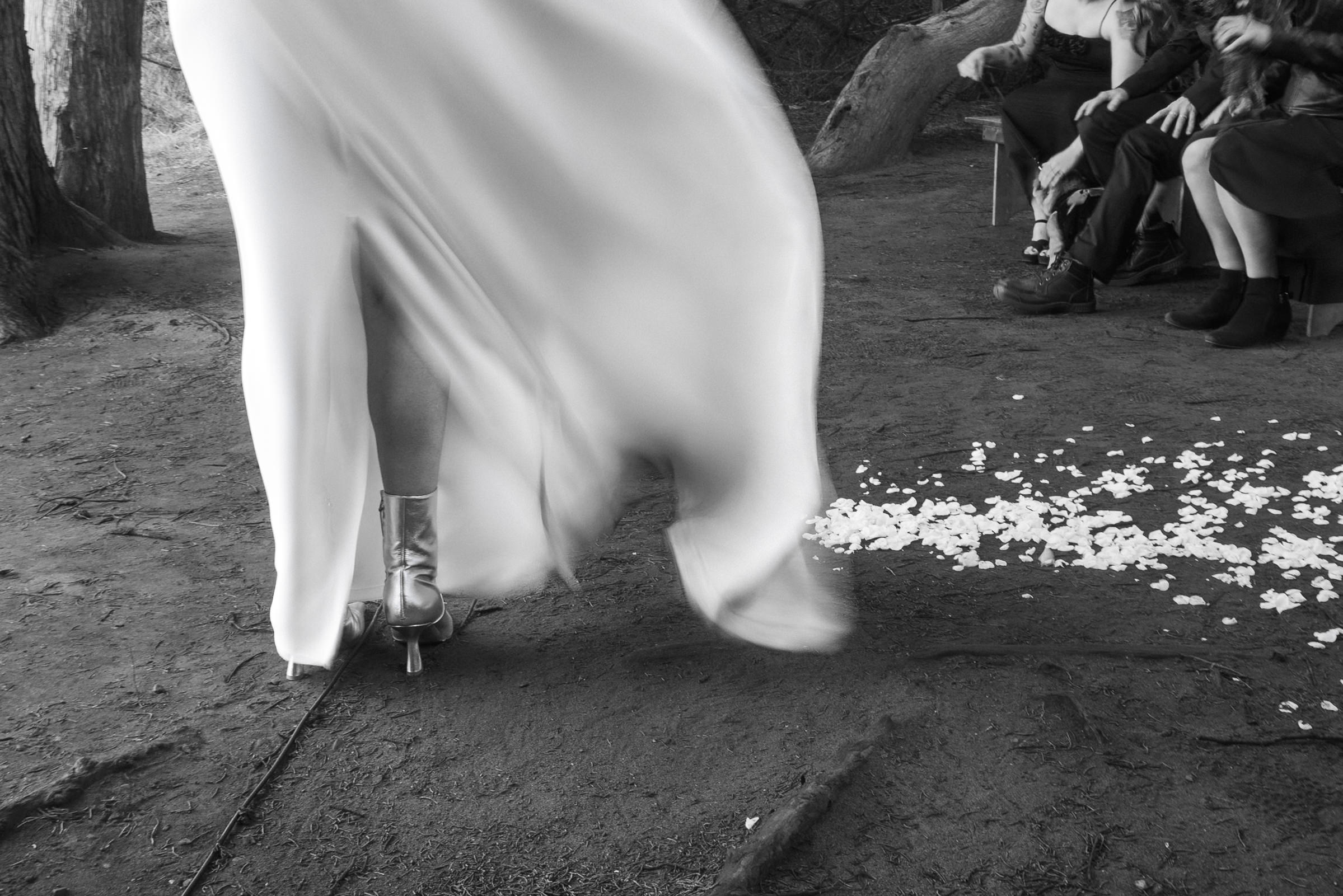 Black and white wedding photo: A graceful bride walking a petal-strewn path in Mendocino.