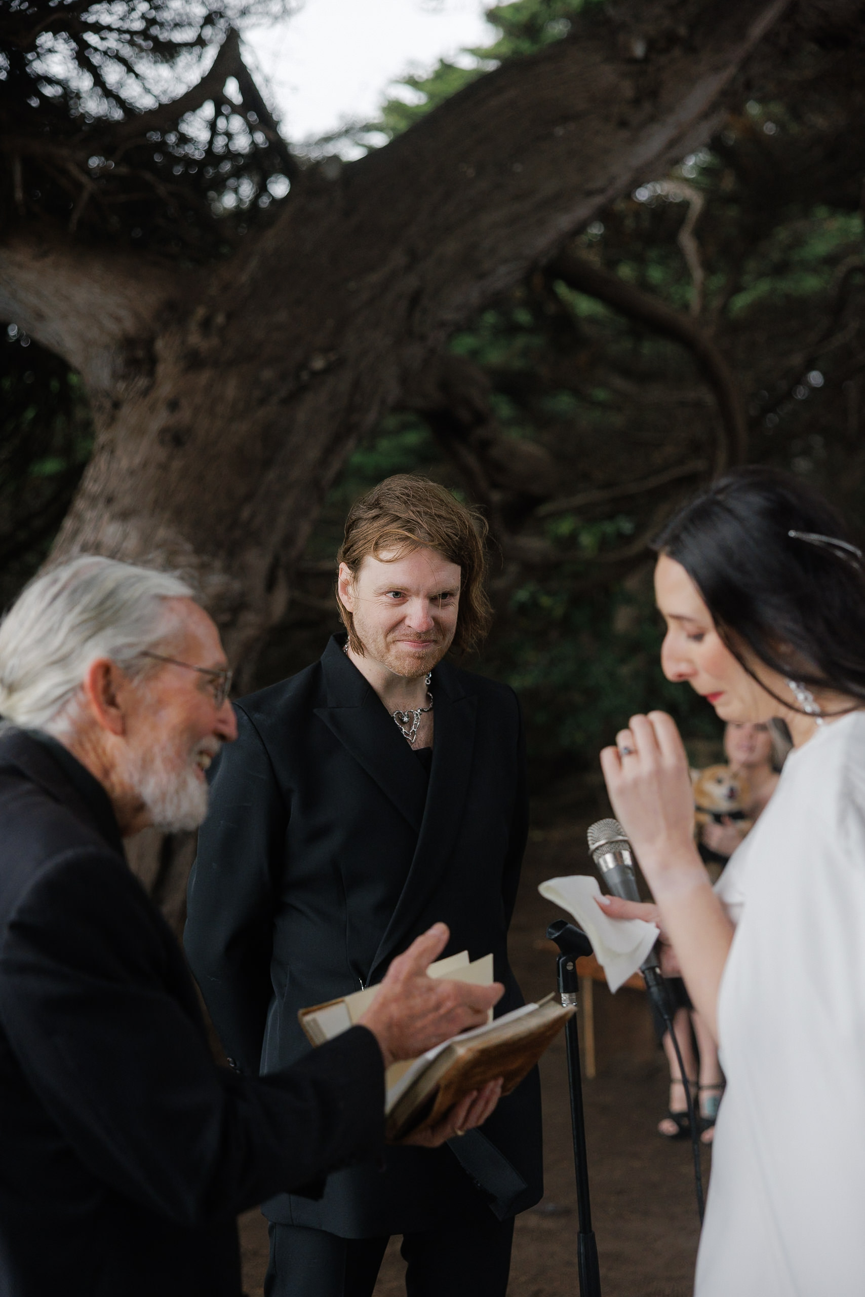 High-end Mendocino wedding photography: Outdoor ceremony under a majestic tree.