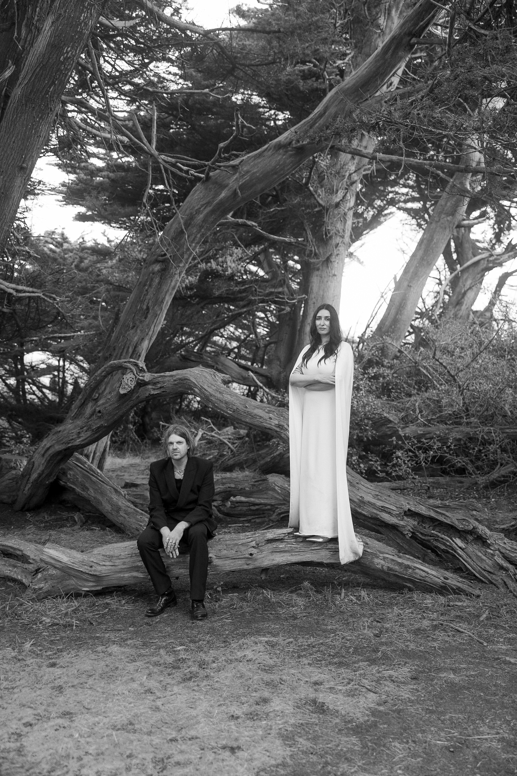Black and white wedding portrait in Mendocino forest: elegant gown, serene woodland backdrop.