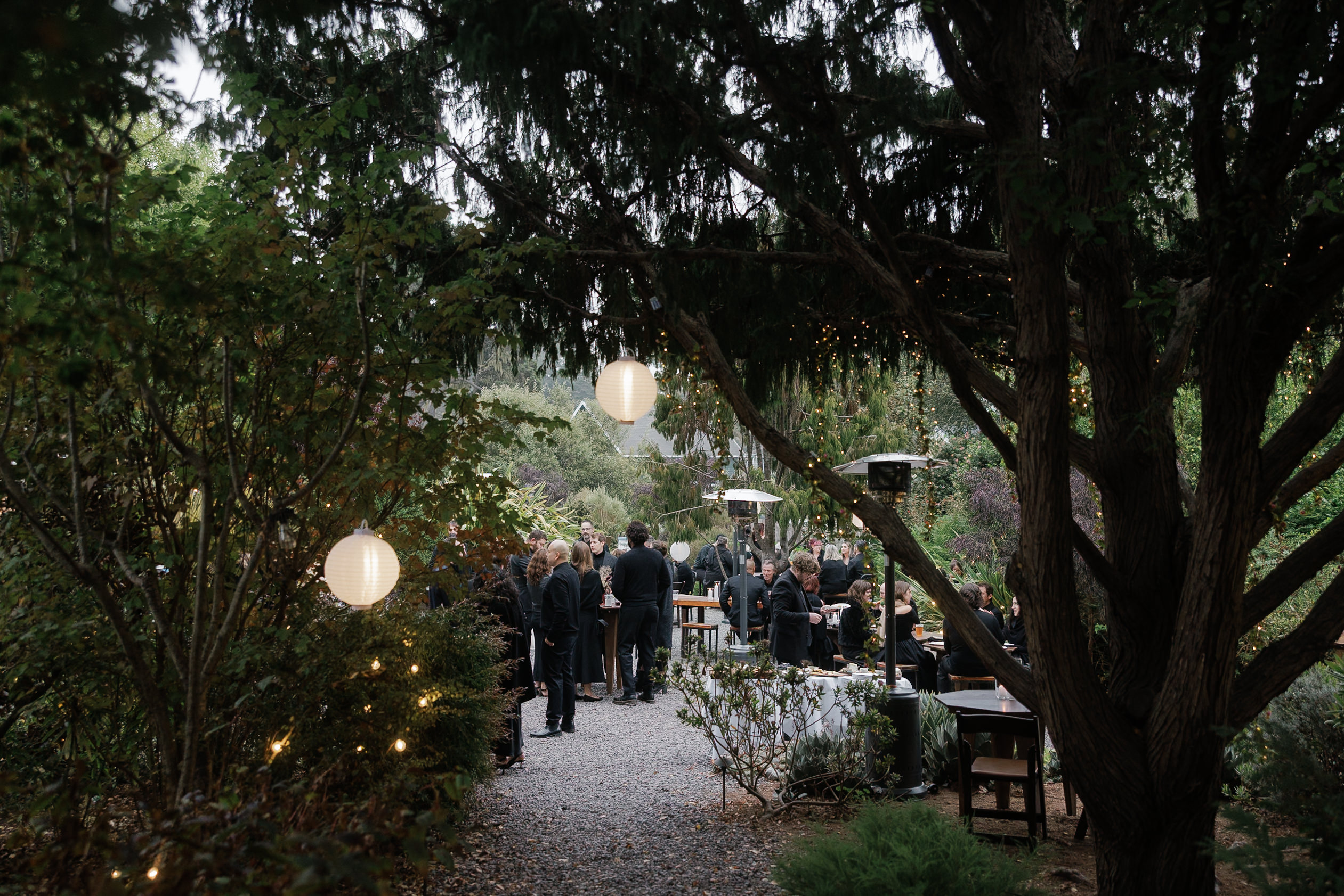 Elegant outdoor wedding scene in Mendocinos lush greenery with guests, paper lanterns.