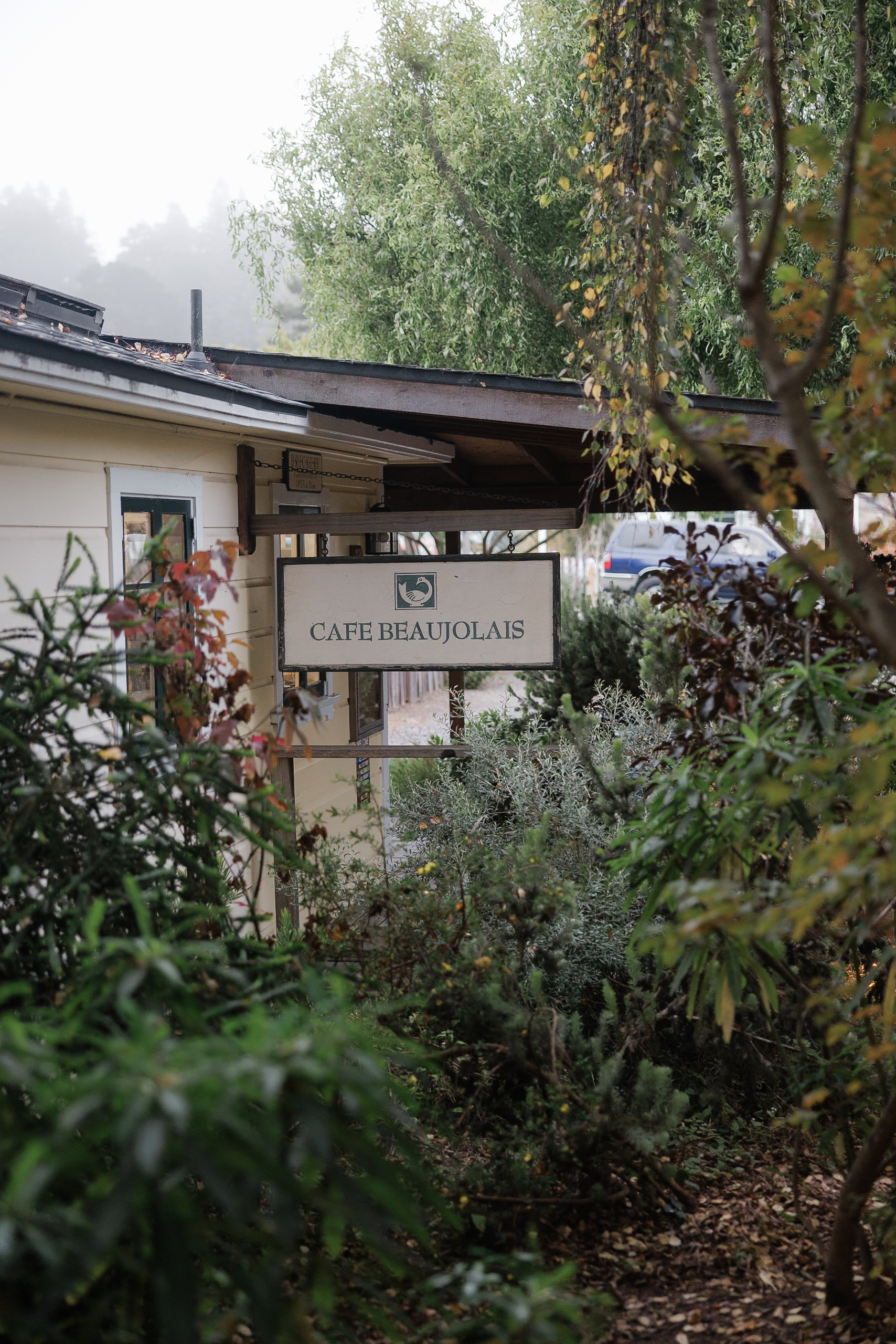 Cafe Beaujolais in Mendocino: Rustic Charm Amidst Lush Greenery for Wedding Photography.