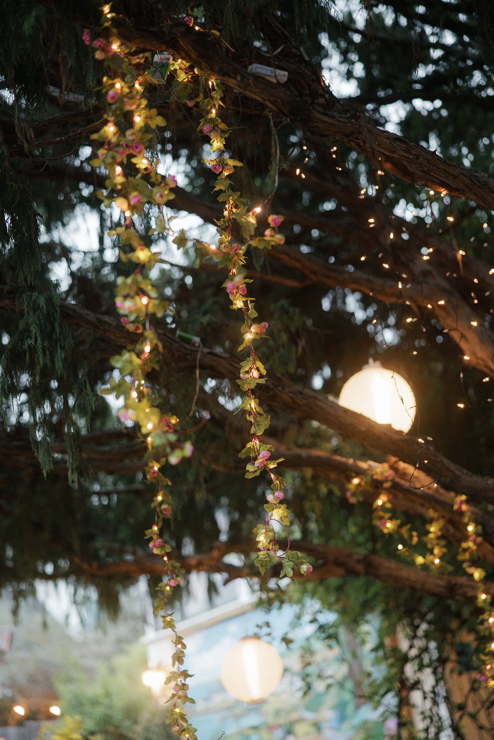 Enchanting Mendocino Wedding: Lit Floral Garlands & Lanterns Amidst Trees.